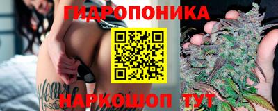 кокс Аргун