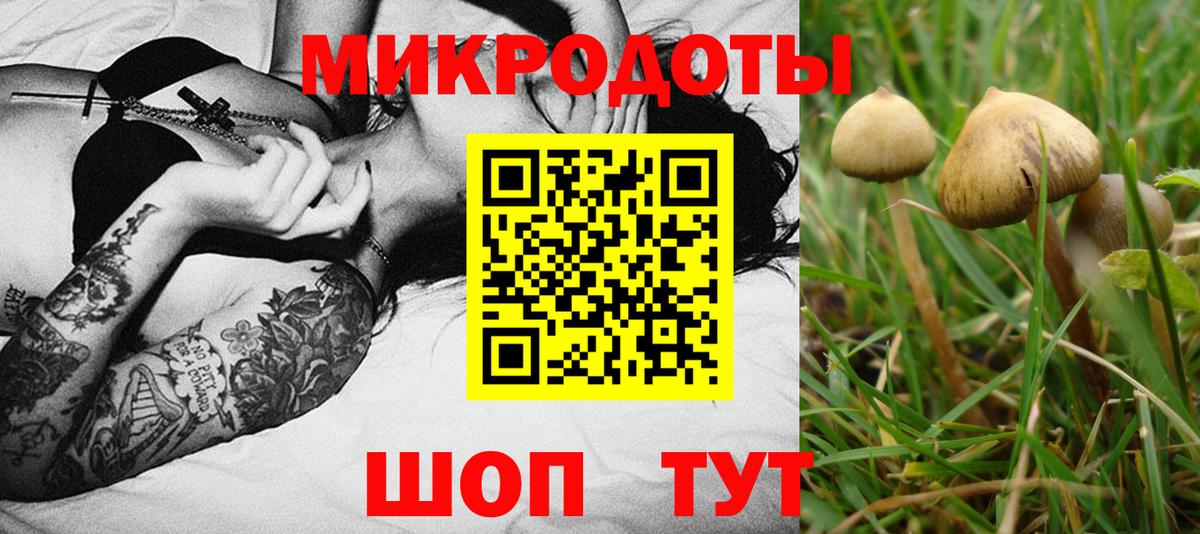 Галлюциногенные грибы MAGIC MUSHROOMS Воронеж
