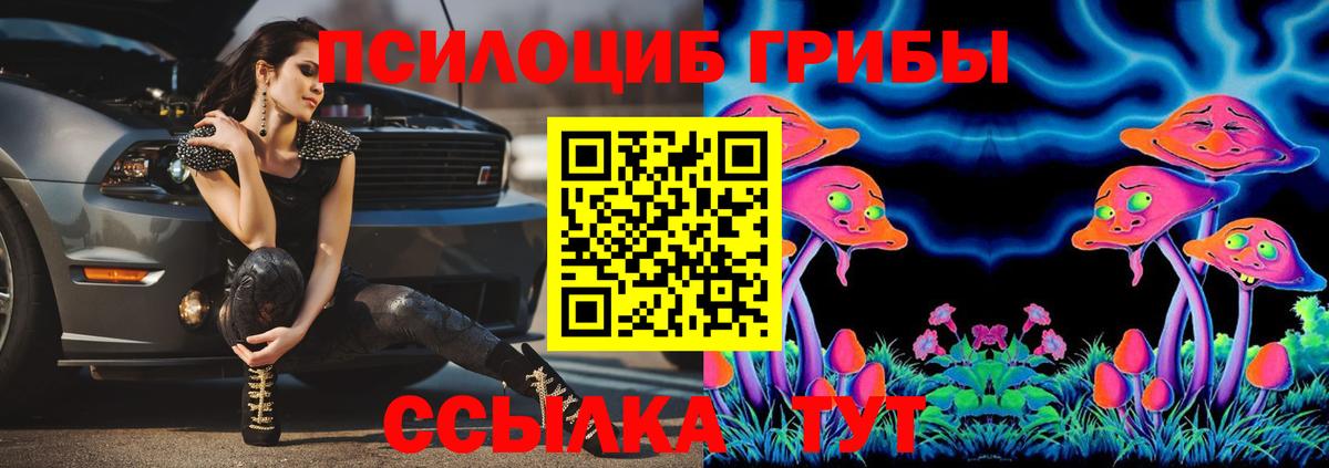 Галлюциногенные грибы Psilocybine cubensis  Воронеж  Галлюциногенные грибы ЛСД 